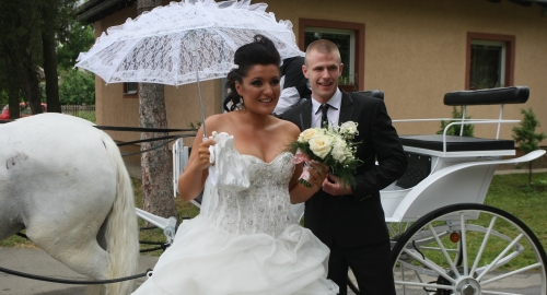 Svadba Slađine i Đoganijeve ćerke / Foto: Zoran Ilić | Foto: 