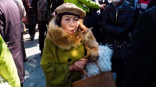 Japanka