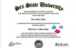 diploma