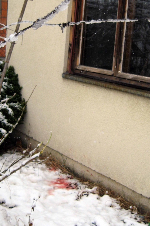Presuda Dejan Cvetić Foto: Biljana Nenković