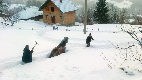 Posle obilnih snežnih padavina narednih dana nas očekuje  i ledena kiša