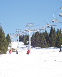 Kopaonik