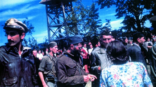 Draža Mihajlović