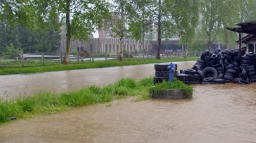 poplave