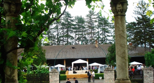 Prvi festival šumadijskih vina / Foto: Biljana Nenković | Foto: 