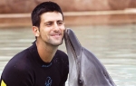 Novak 