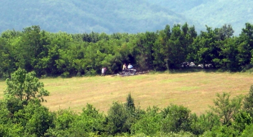 Mesto zločina