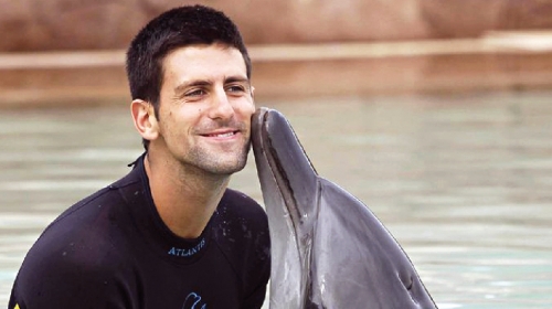 Novak