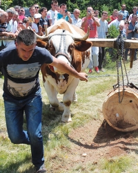Miloš Mandić  osvojio nagradu