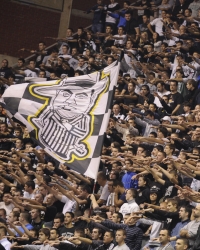 Grobari