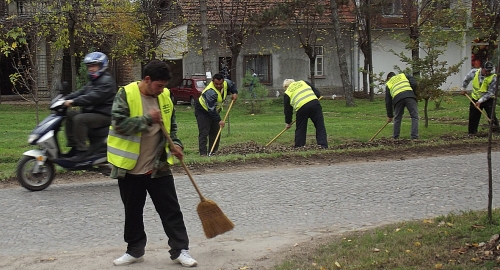 Grupno izdržavanje kazne radom u javnom interesu / Foto: Biljana Vučković | Foto: 