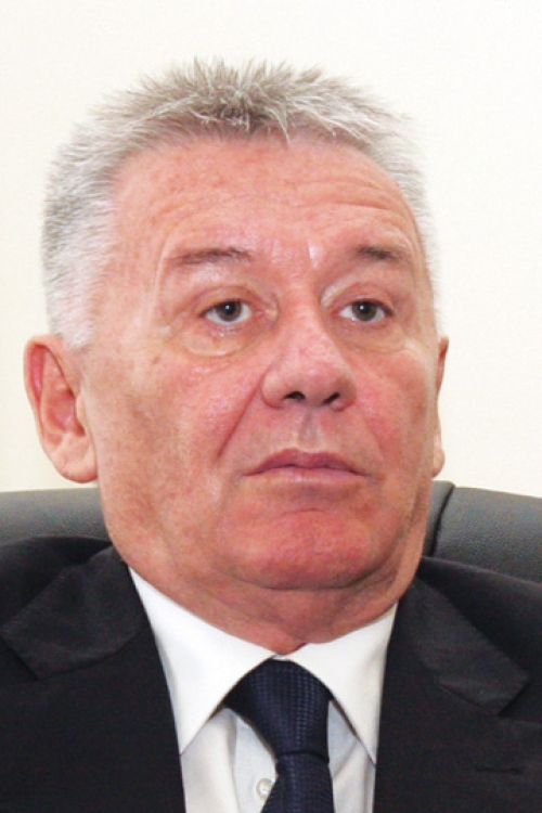 Velimir Ilić