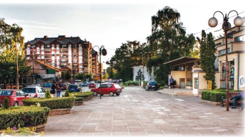 Aleksinac, psi