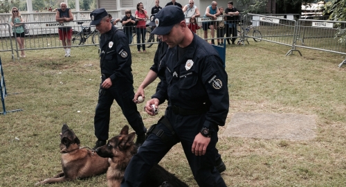Akcija Policajac, Ada Ciganlija | Foto: 