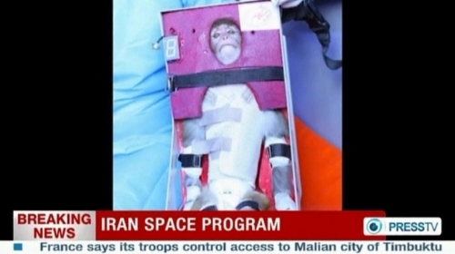 Space monkey