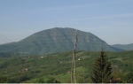 Miokovci