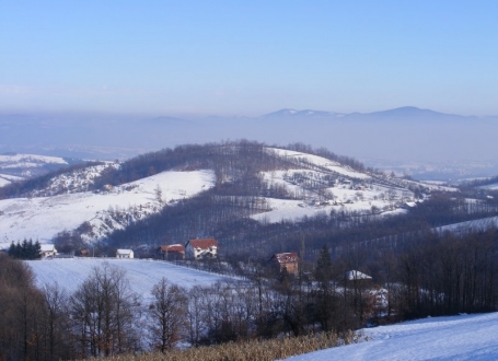 Miokovci / Foto: Žiža Radovanović i Vukašin Ilić