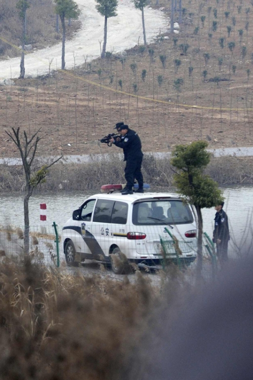 Besna krava napada seljaka Foto: Reuters