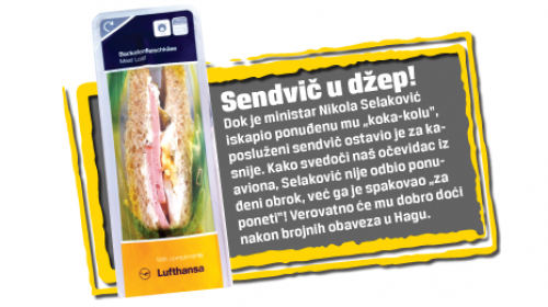 Selaković u avionu