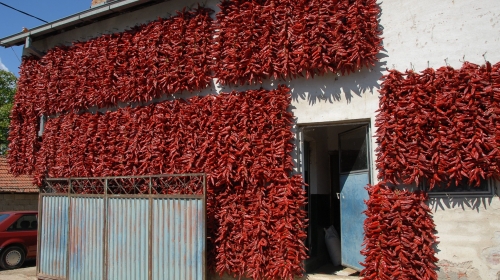 Lepša od svake fasade: Suva paprika