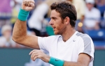 Novak