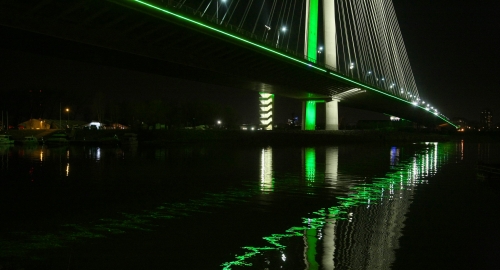 Zeleni most Most na Adi Dan Svetog Patrika | Foto: Petar Dimitrijević | Foto: 