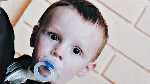David Despotović