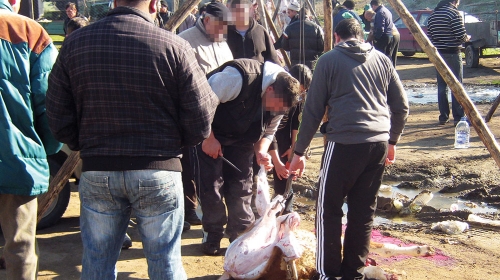 Po meso dolaze meštani  Vranja, Bujanovca, Preševa i Gnjilana