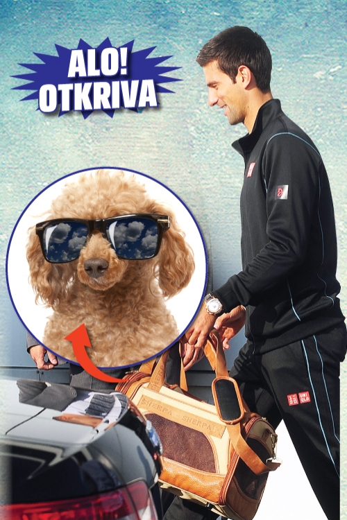 Đoković i pudla