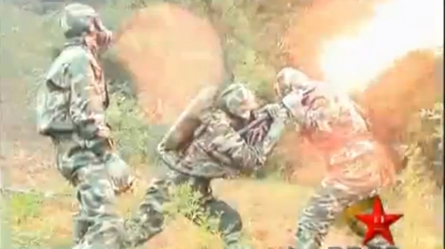 Kinezi se napalmom bore sa osama