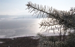 Aleksandrovačko jezero
