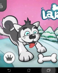 Lajavko