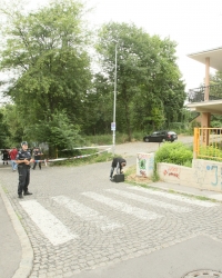 Osnovna škola Dositej Obradovic Pucnjava