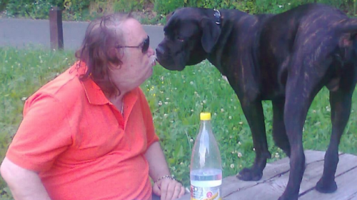 Mišo Kovač