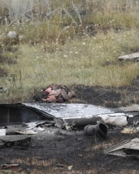 MH17, obaranje aviona iznad Ukrajine