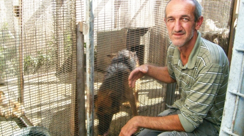 Dokazi:  Pseća  papirologija