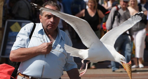 Fotografije koje su obišle svet