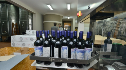 Budimir Vino