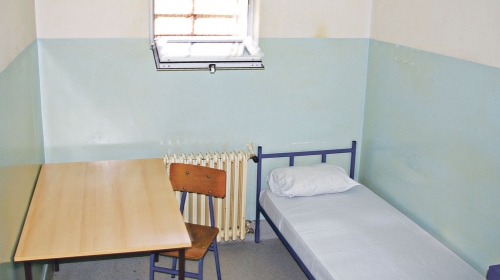Samica u pitvorskoj jedinici u Ustaničkoj ulici