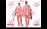 Flamingosi