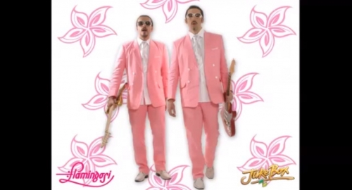 Flamingosi
