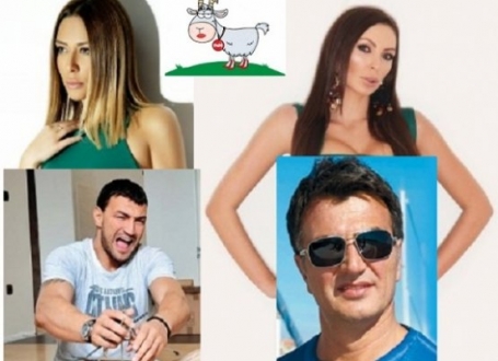 Ana Nikolić