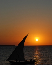 Zanzibar3