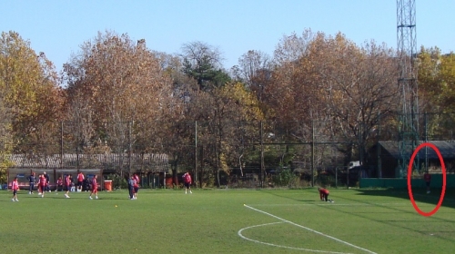 Trening Zvezde