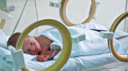 Broj parova koji čeka na veštačku oplodnju porastao na preko 500