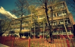 OŠ Drinka Pavlović