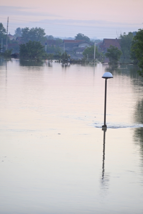 Poplave u Obrenovcu Foto: Dušan Milenković