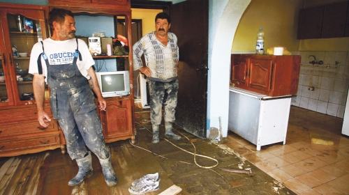Ivericu ne  možete spasiti,  ali puno drvo  možete