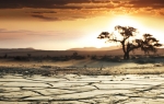 Porast globalne  temperature  deluje neminovno