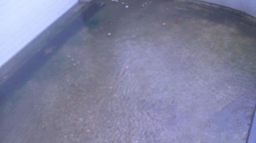 Poplavljeni su niži spratovi zgrada u Nemanjinoj ulici